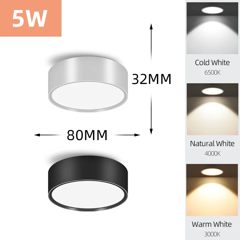 5W downlight